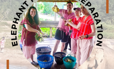 Elephant Sanctuaries in Bangkok