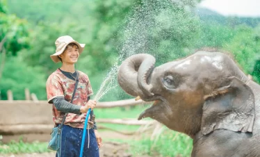 Elephant Retreat Full Day Tour