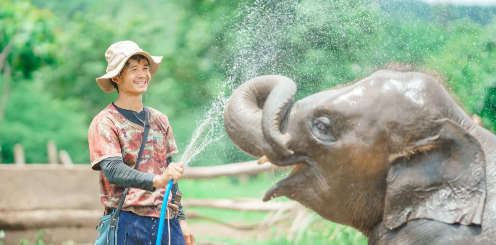 Elephant Bathing