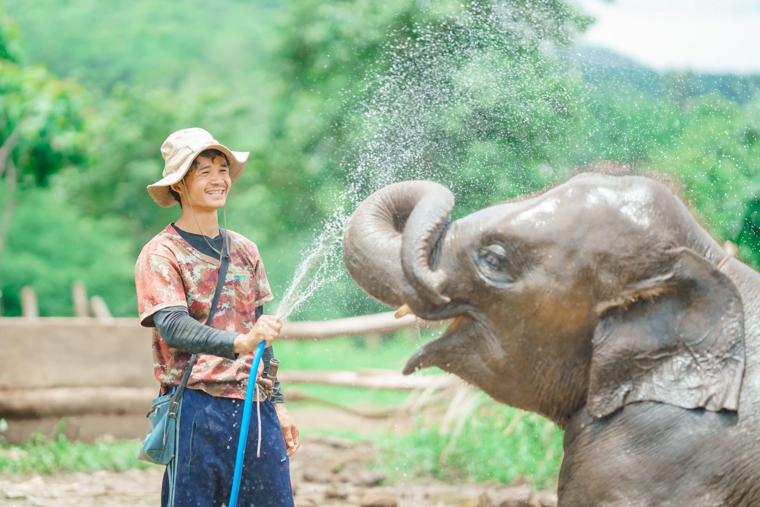 Elephant Bathing