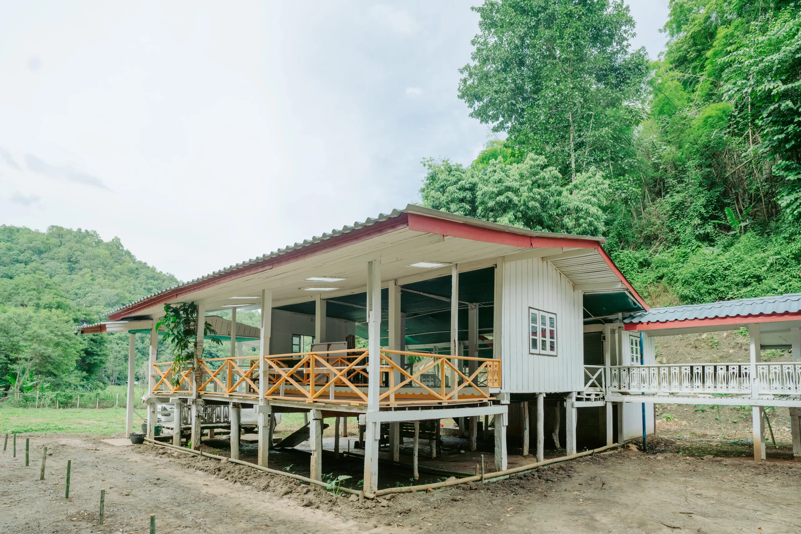 Elephant Sanctuary in Chiang Mai